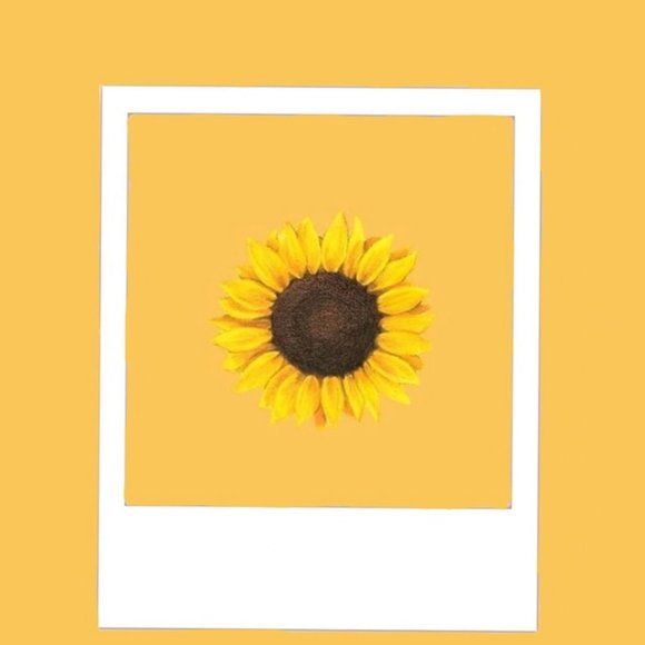 photos - Picture 2 of 4